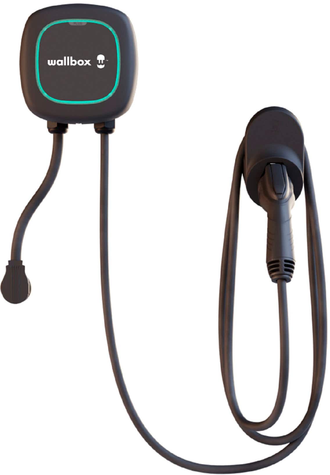 Wallbox - Cable Pulsar Plus J1772 Level 2 NEMA 14-50 Electric Vehicle (EV) Charger up to 40A - 25' - Black product image